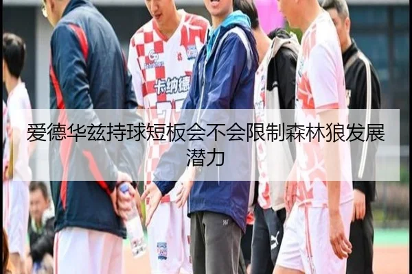 爱德华兹持球短板会不会限制森林狼发展潜力