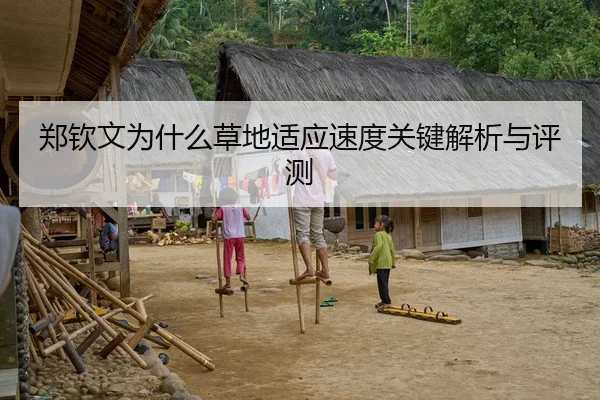 郑钦文为什么草地适应速度关键解析与评测